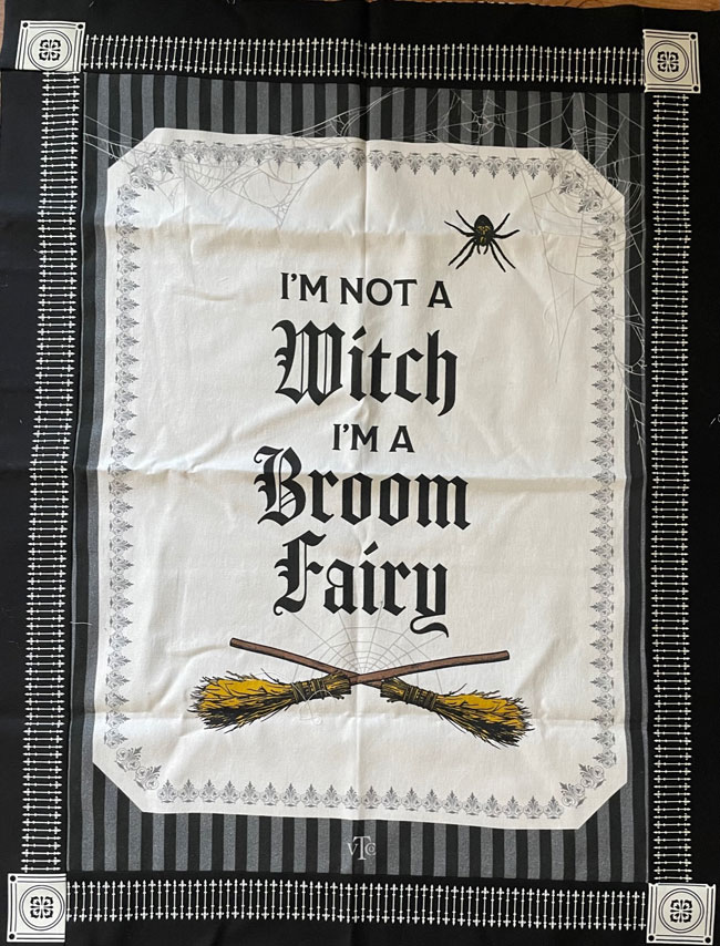 #13 Broom Fairy