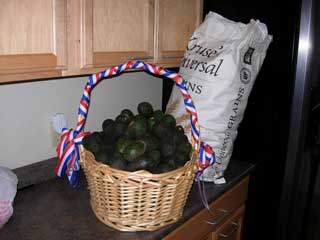 picture of bag of avacados